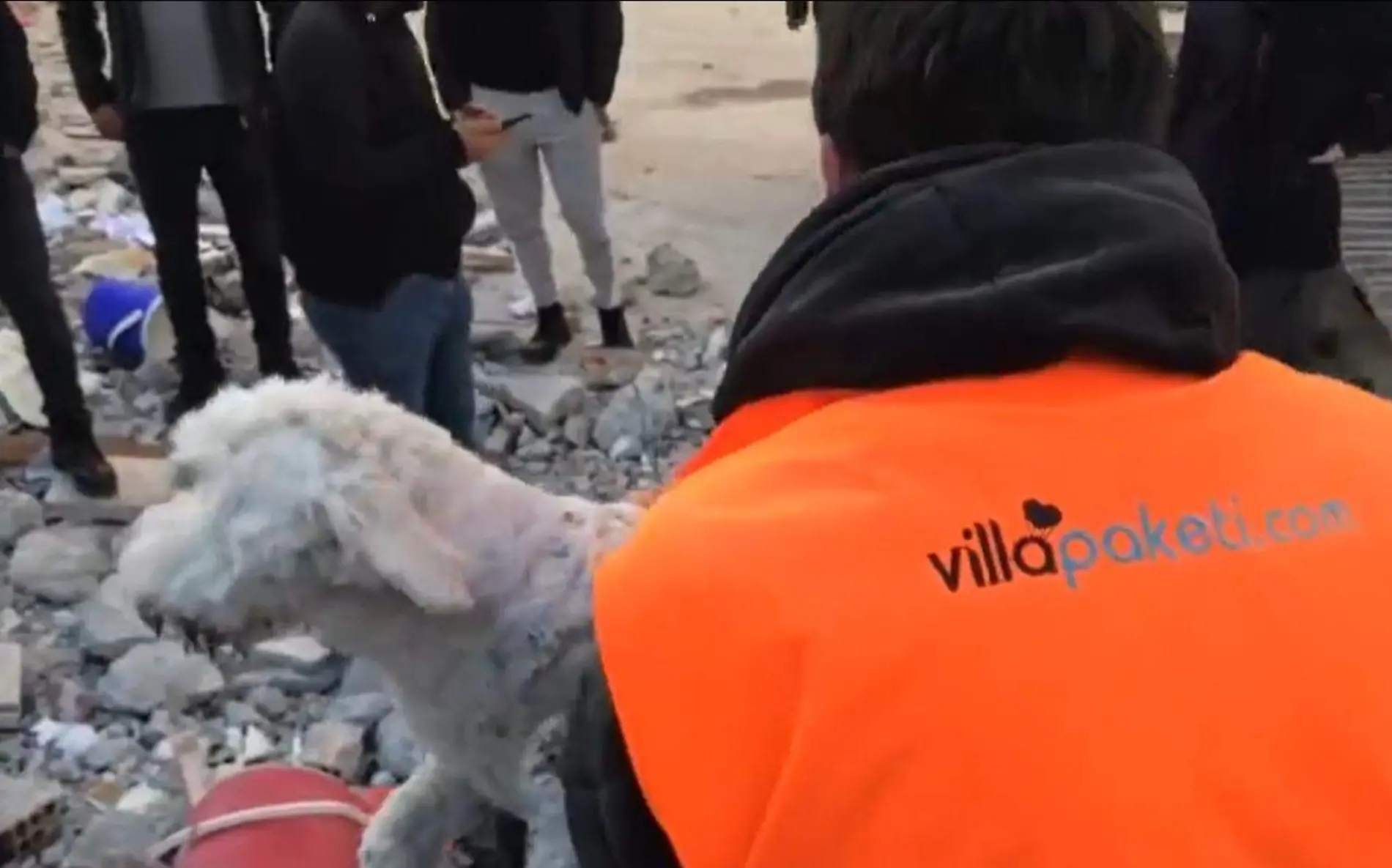 Rescate de perrito en Turquía